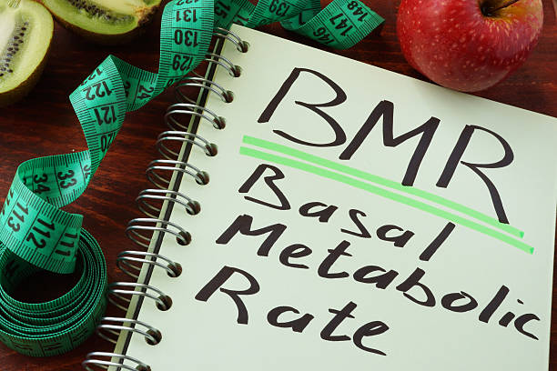 How to use BMR to calculate calories