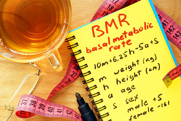 How to use BMR to calculate calories